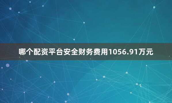 哪个配资平台安全财务费用1056.91万元