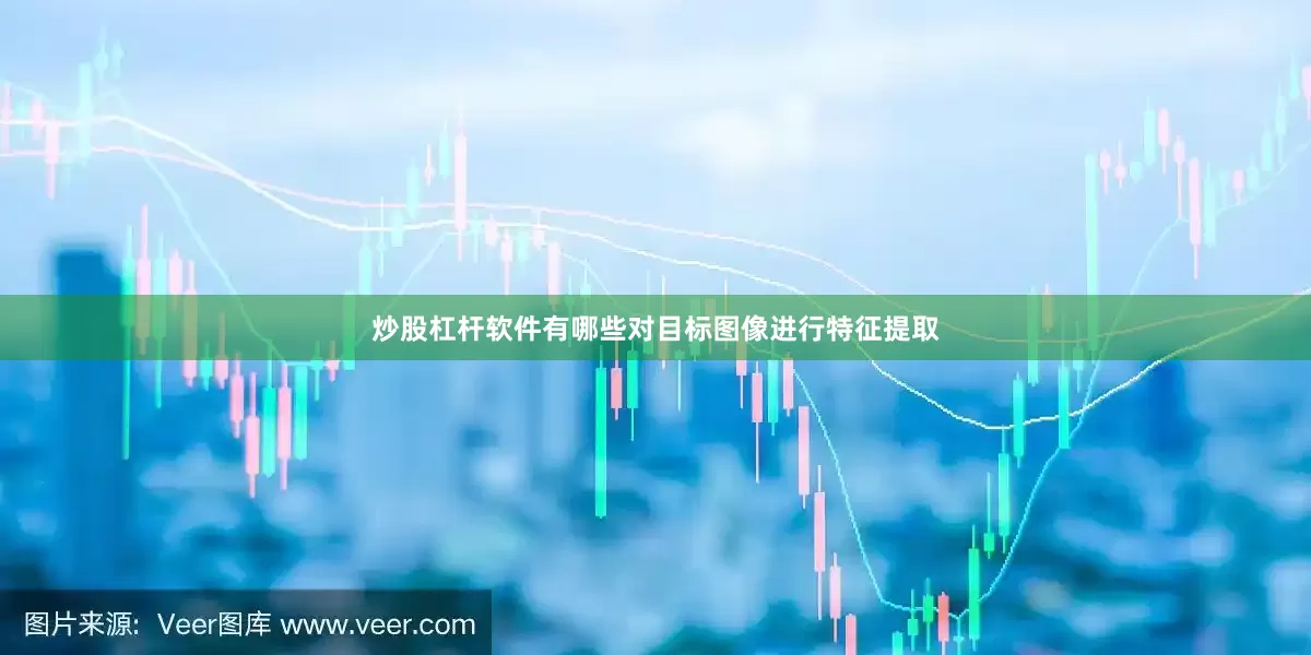炒股杠杆软件有哪些对目标图像进行特征提取